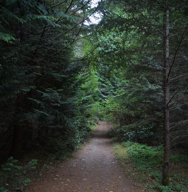 hiking trail